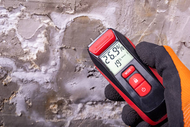 Best Preventive Mold Services in Saxon, SC